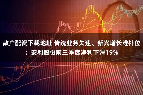 散户配资下载地址 传统业务失速、新兴增长难补位：安利股份前三季度净利下滑19%