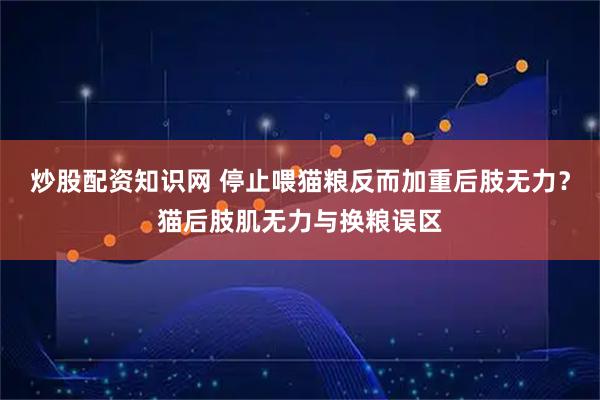 炒股配资知识网 停止喂猫粮反而加重后肢无力？猫后肢肌无力与换粮误区